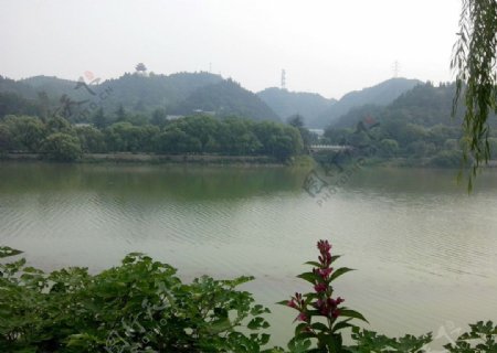 黄河风景名胜区图片