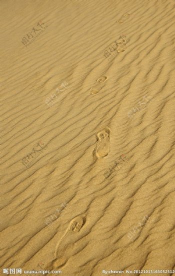 沙漠里的足迹脚印图片
