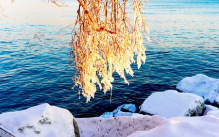 湖边雪景图片