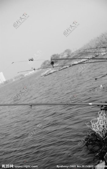湖面鱼竿图片