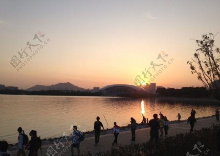 日落深圳湾图片