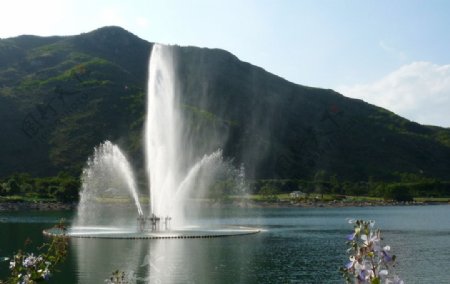 香港迪士尼乐园迪欣湖喷泉图片