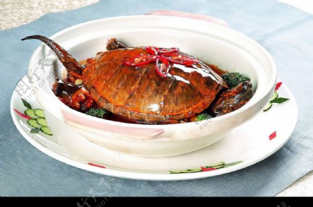 红煨鳄鱼龟红炆山瑞红烧甲鱼图片