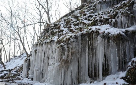 林海雪原图片