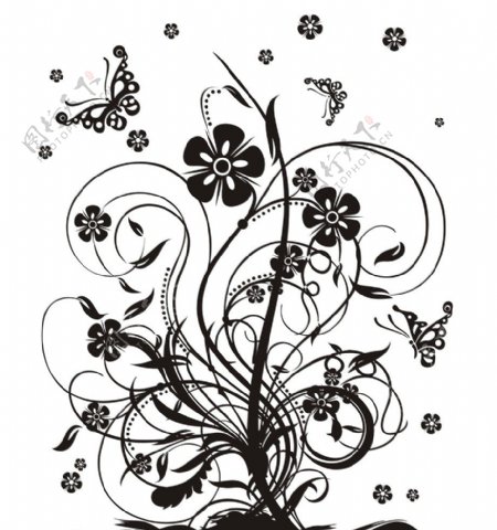 蝴蝶与花花丛中的蝴蝶图片