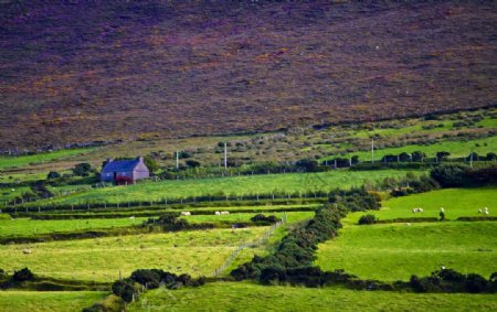 爱尔兰风景图片