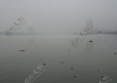 迷雾江面图片