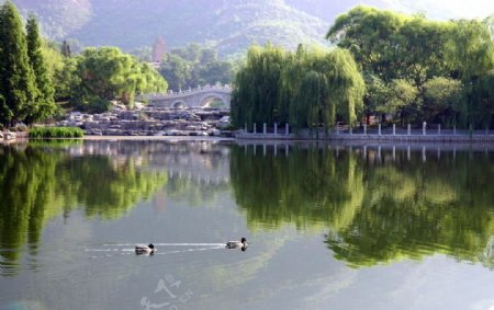 北京植物园图片