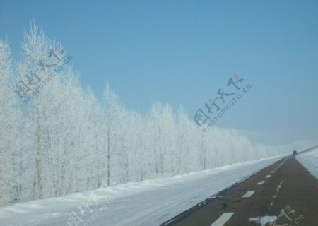 公路雪图片