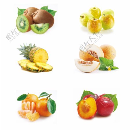 水果果类图片