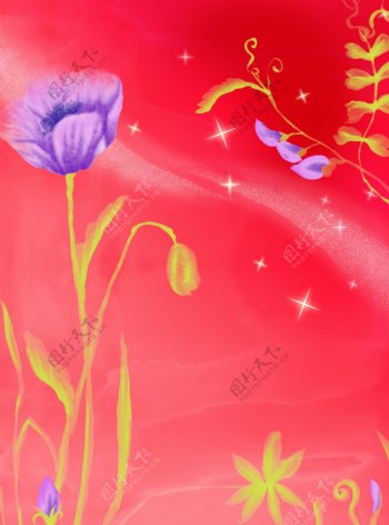 红色鲜花背景图片