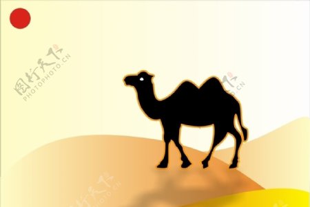 骆驼沙漠模板图片
