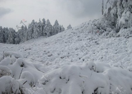 瓦屋山雪景图片