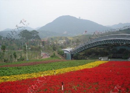 田园风光图片