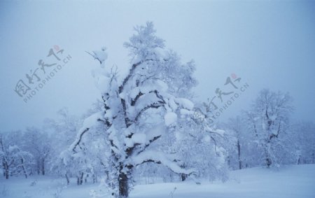 冰雪世界图片