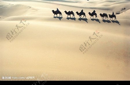 沙漠孤舟图片