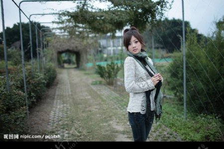 台湾网络人气美女果子MM灰色线衫图片