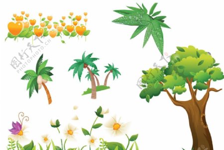 卡通椰子树大树图片