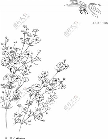 日本线描植物花卉矢量素材图片