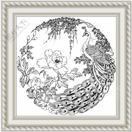 孔雀牡丹枫叶图片