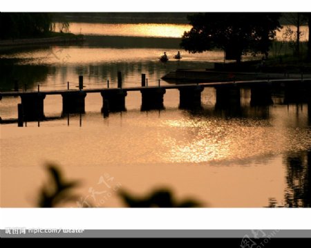 星湖小桥图片