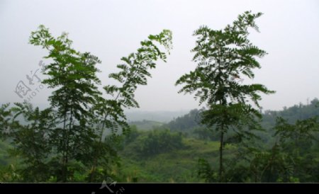 风景图片