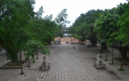 广化寺图片
