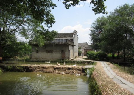 渼陂古村美景图片