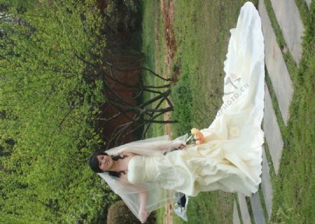 新娘婚纱摄影图片
