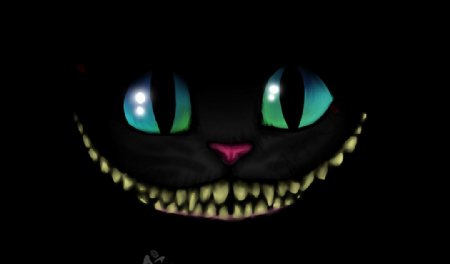 黑暗中的猫咪图片