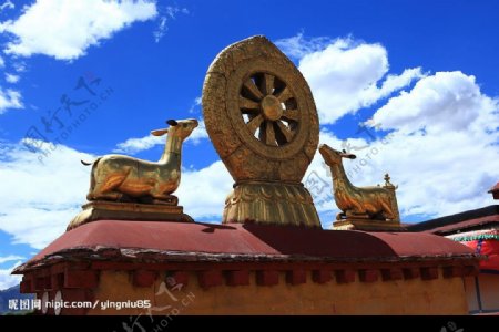 西藏人文风景图片