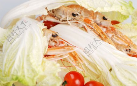 海鲜大虾图片