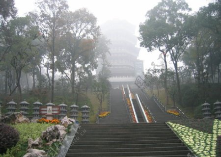 雾中的雷峰塔图片