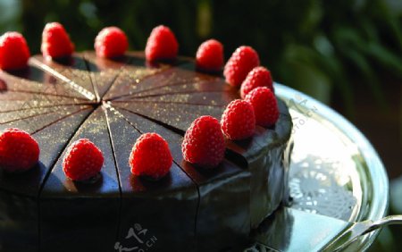 黑巧克力五味子蛋糕图片