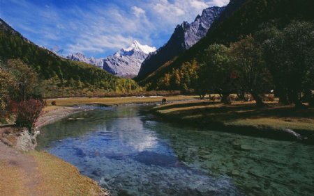 北疆禾木村图片