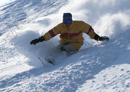 极限滑雪图片