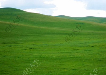 青綠草原图片