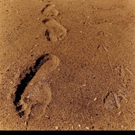 沙地脚印图片