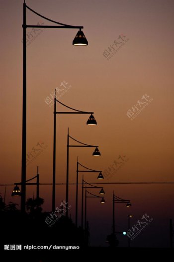 黎明前的街灯图片