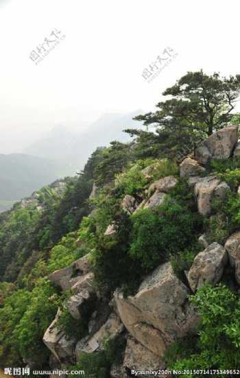 山石山景图片