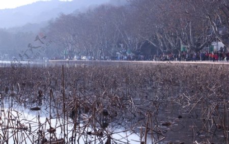 杭州西湖冬季北山街图片