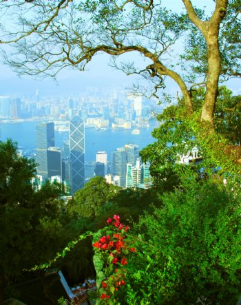 香港风景图片