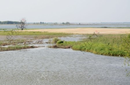 湿地风光图片