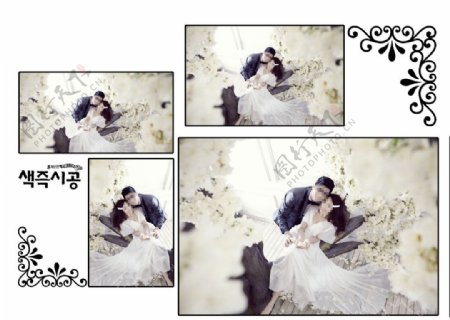 韩式婚纱模板图片