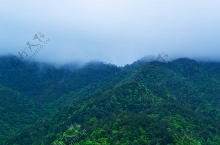 雨中雾中之新昌天姥山图片