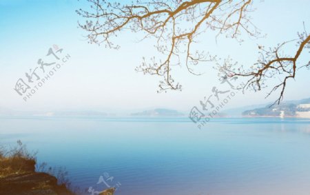 薄山湖晨图片