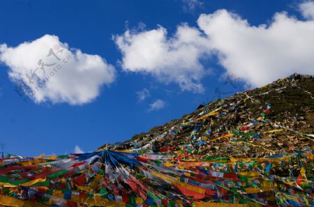 西藏的经帆图片