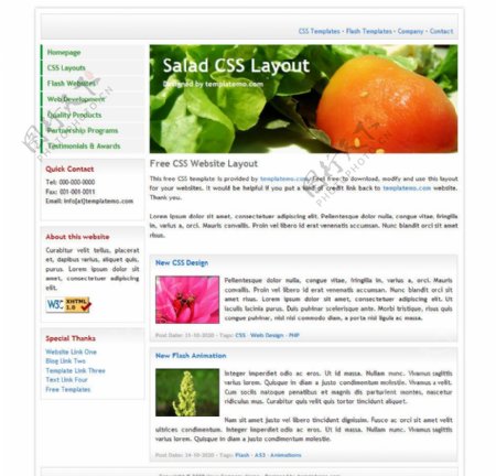 绿色创意设计CSS网站模版图片