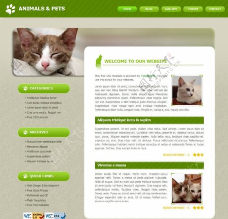 宠物网站模版图片