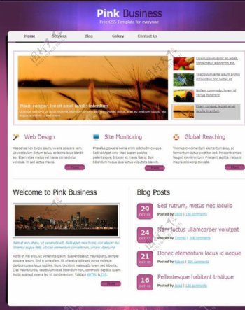 紫色商务CSS网页模板图片